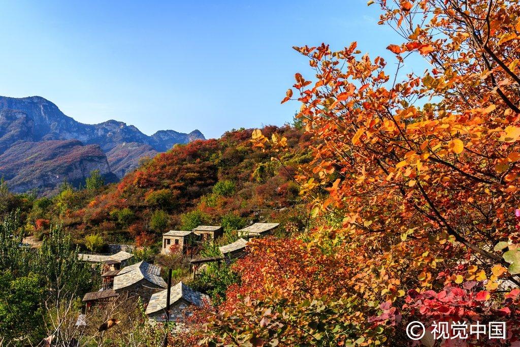 北京房山区幽岚山下波峰岭进入最佳红叶观赏期