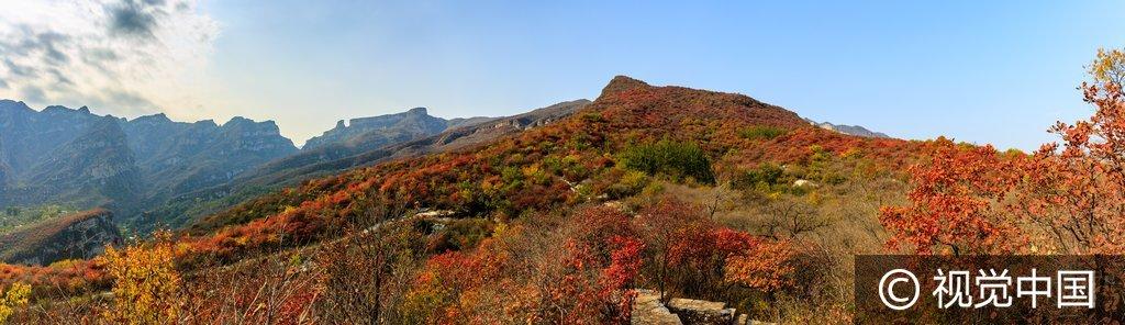 北京房山区幽岚山下波峰岭进入最佳红叶观赏期