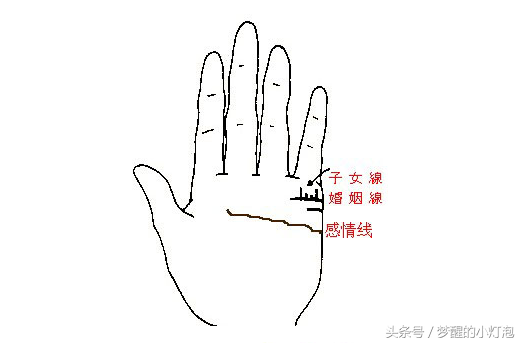 子女线是位于婚姻线上方与婚姻线平行的线条,子女线在女性朋友手上