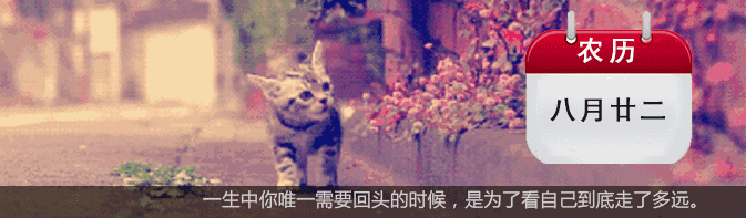 长沙市行政区划图，长沙各区位置图（长沙6区如何得名？一张图看懂）