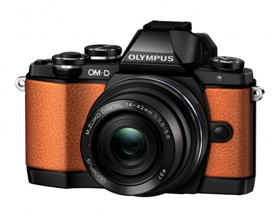 推荐几部高干np宠文，文笔好的高质量高干np宠文（这几款数码单反值得买）