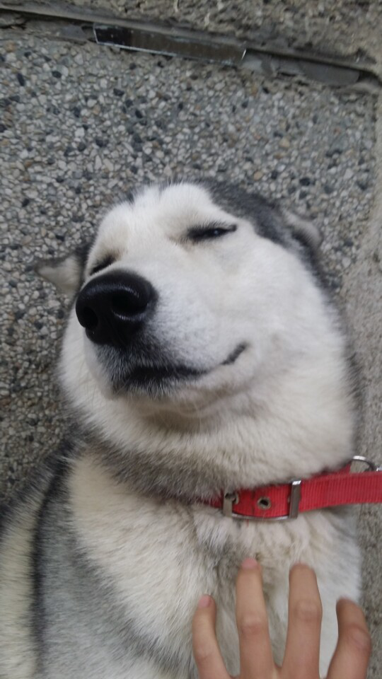 壁咚什么意思呀，壁咚是什么意思（按摩舒服死你了啊）