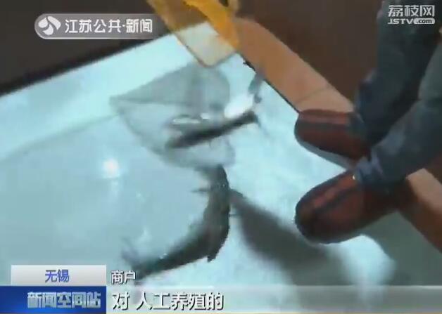 警惕低价陷阱！13元一斤的“鳕鱼”可能并非真鳕鱼，选购时务必认清品种与产地。