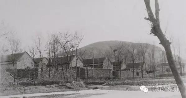 揭秘临沂为何被称为龟驮城，龟蒙山属于临沂哪个县城（你以为沂州古城就是龟驮凤凰城）