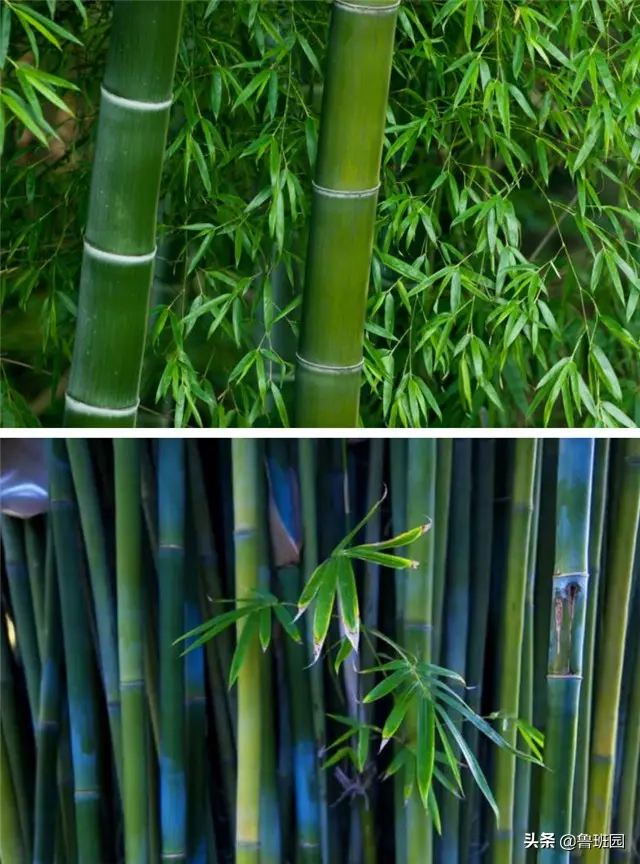 Regarding bamboo furniture, do you still have the impression of