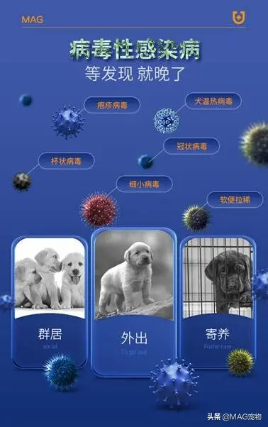 Newborn kittens and puppies are like babies, their immune system is not ...