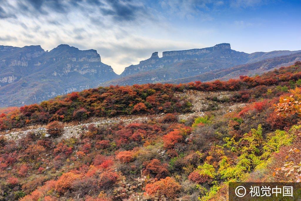 北京房山区幽岚山下波峰岭进入最佳红叶观赏期