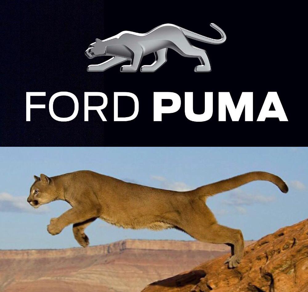 昨天发布的福特puma,你知道它跟捷豹e-pace有什么样的联系吗?
