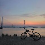 阳光倾城25195180头像