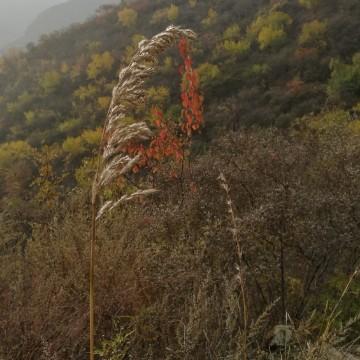 宇外游A