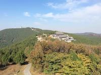 海纳百川181723509头像