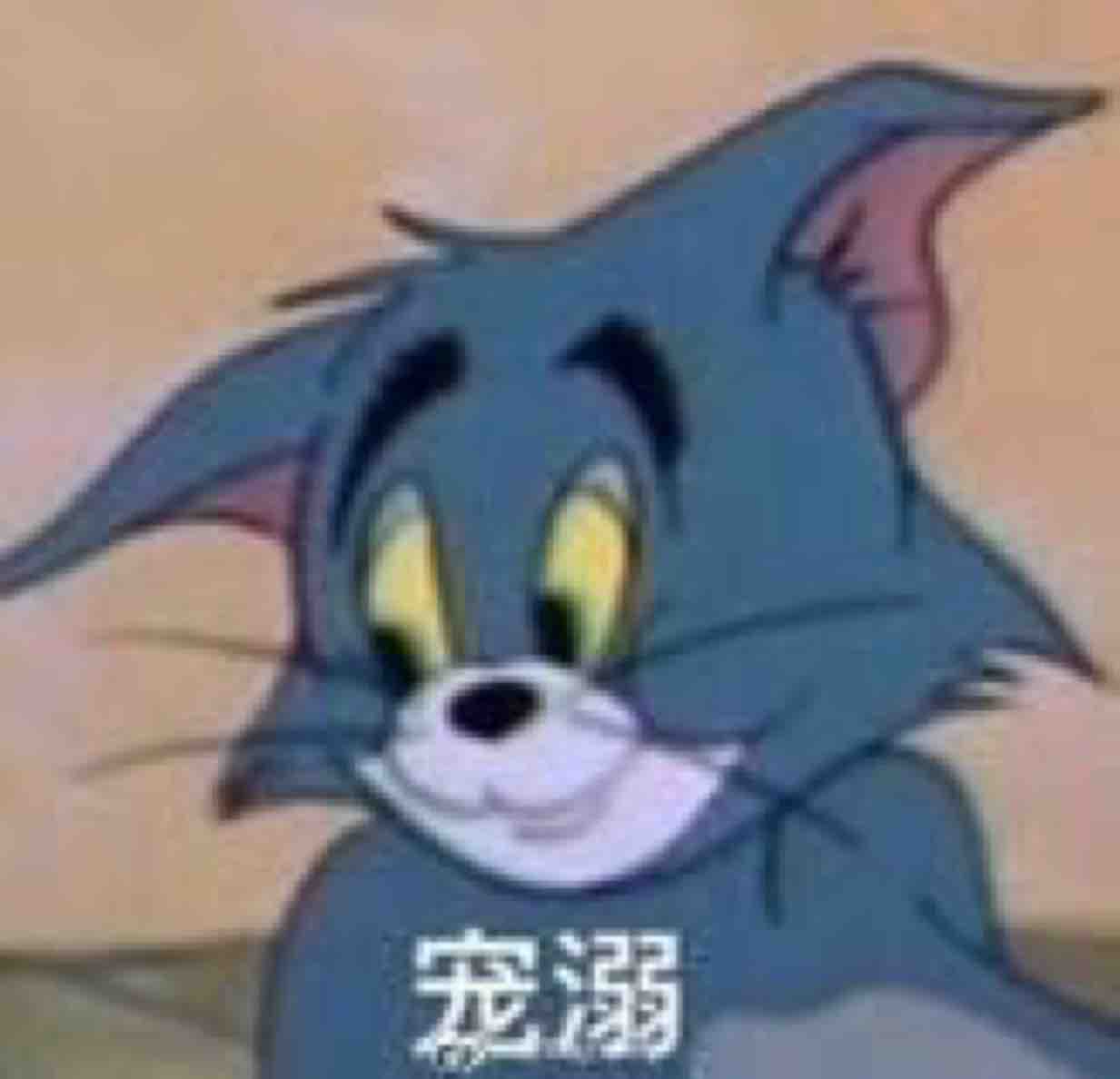只恐双溪不载愁