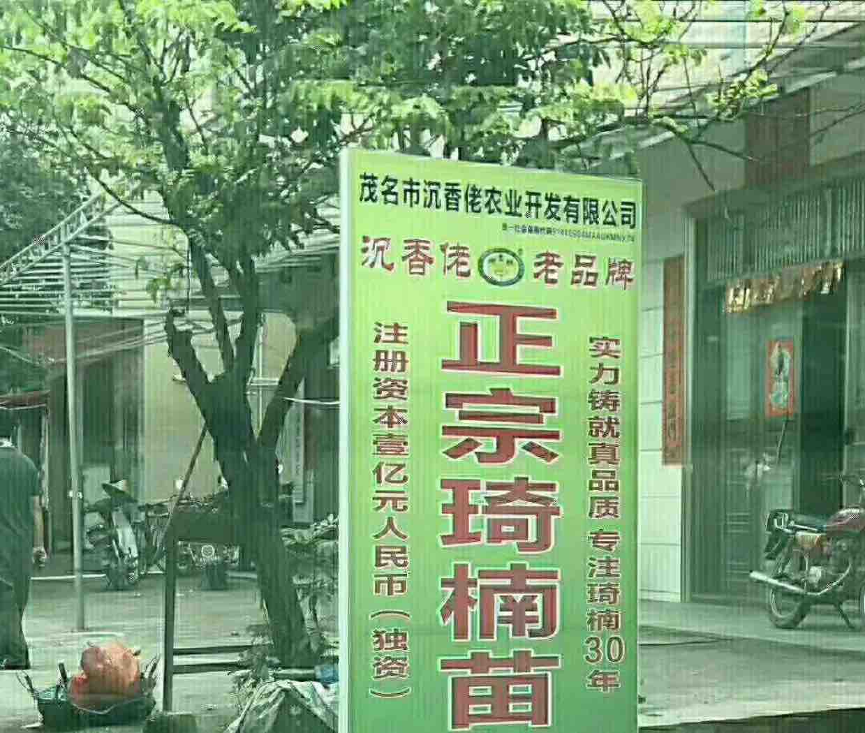 梁山沉香奇楠苗基地头像