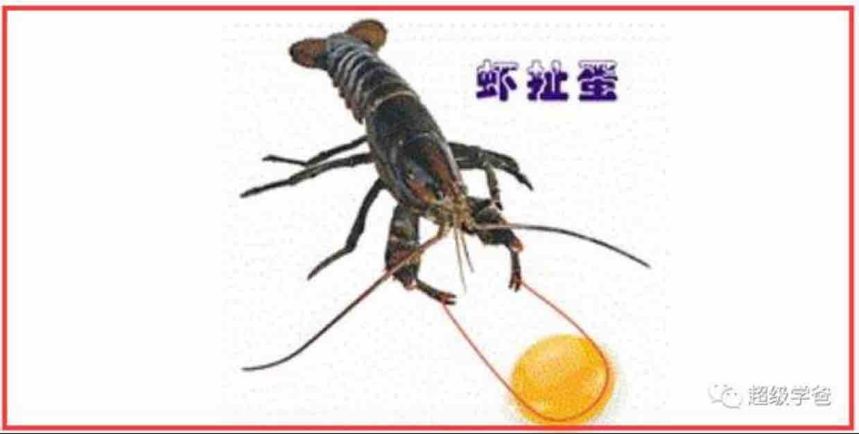秉谦77266269