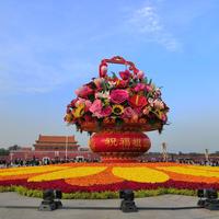 海阔天空53953头像