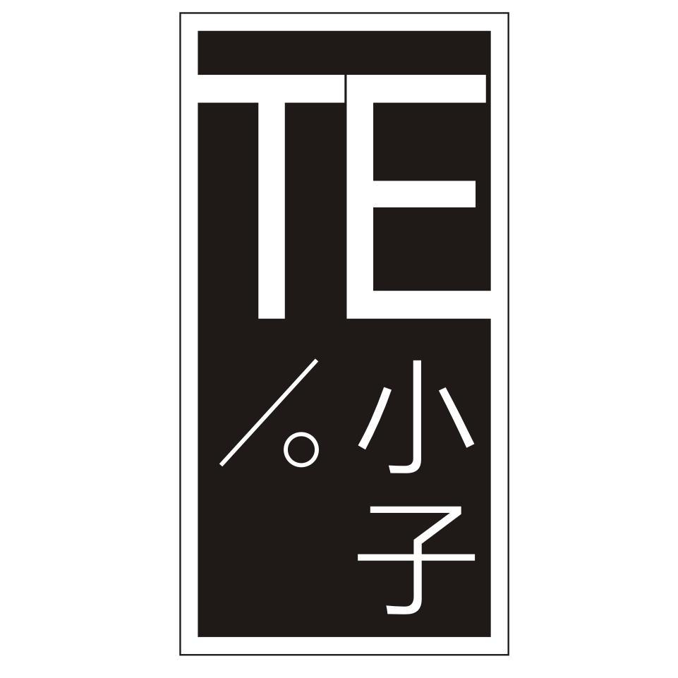 TE小子头像