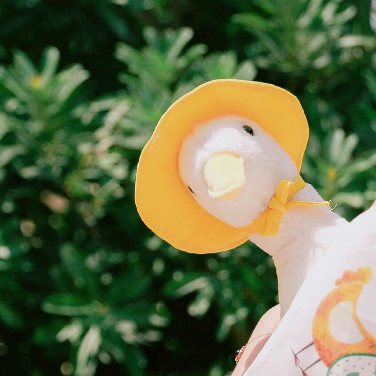 盒饭电影