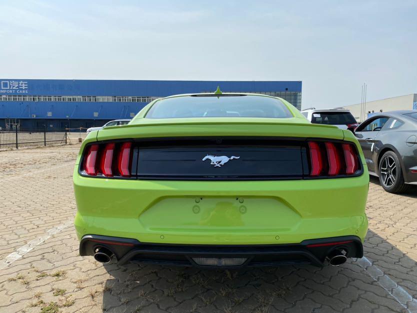 福特野马绿黑_mustang车友圈_天津港晟名汽车大劳_懂车帝