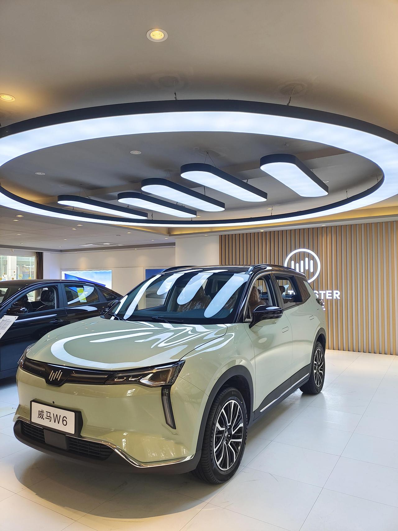 威马w6晨曦绿已到店