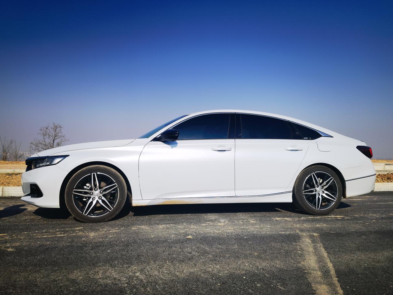 格陵兰白马上首保