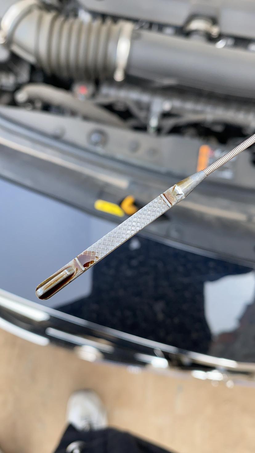 爱车吐槽 首保后跑了七千公里 机油尺到这个点了 tm的不会中