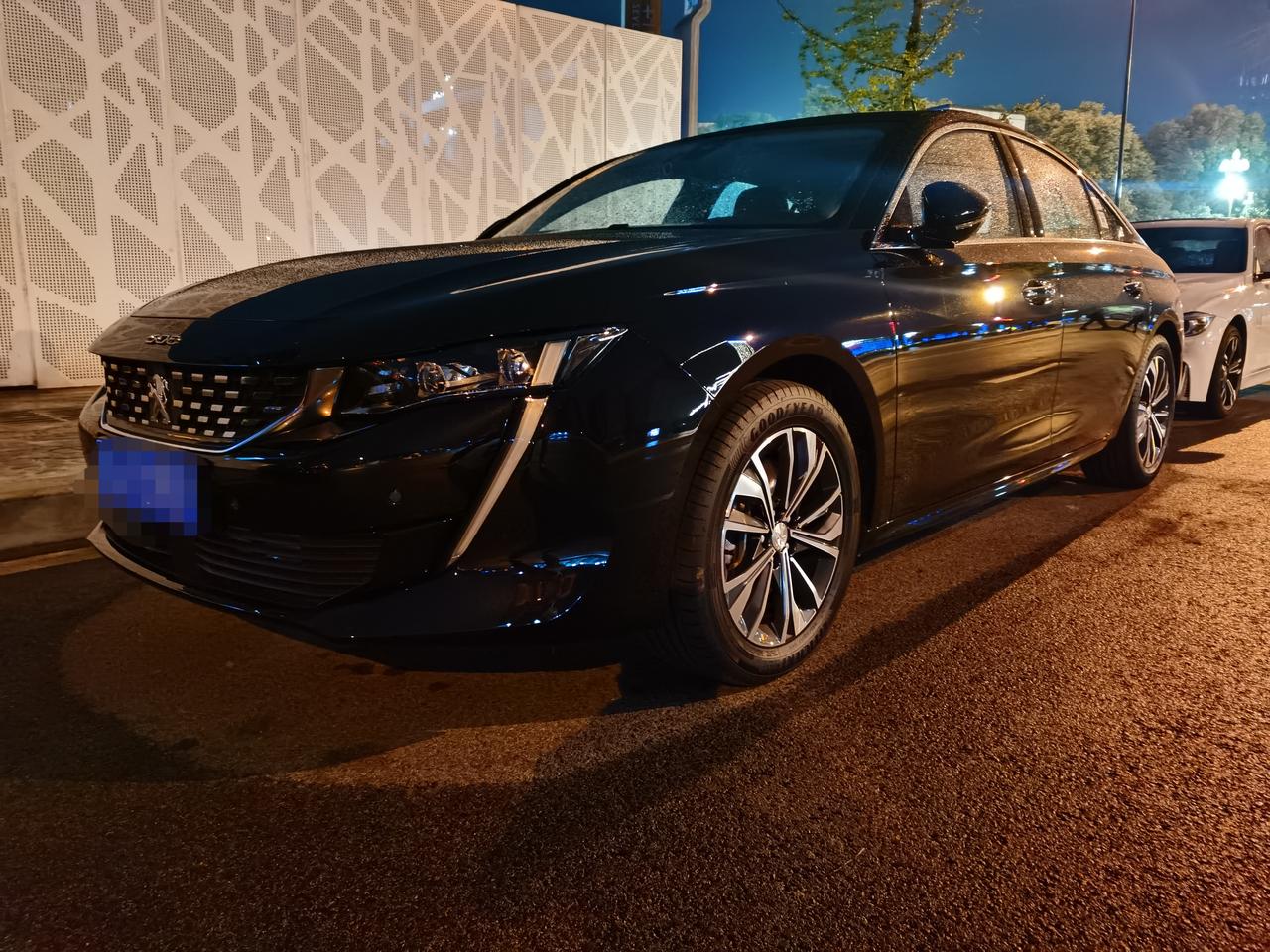 长沙精神病医院冯主任标致508l车主·车龄半年黑色确实最帅袁玉国小摆