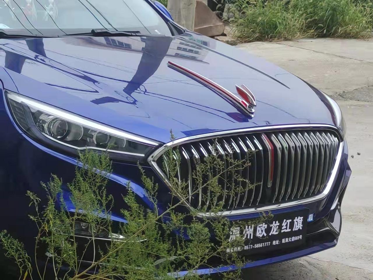 装上立标,优缺点_红旗h5车友圈_七夕漫头馆_懂车帝