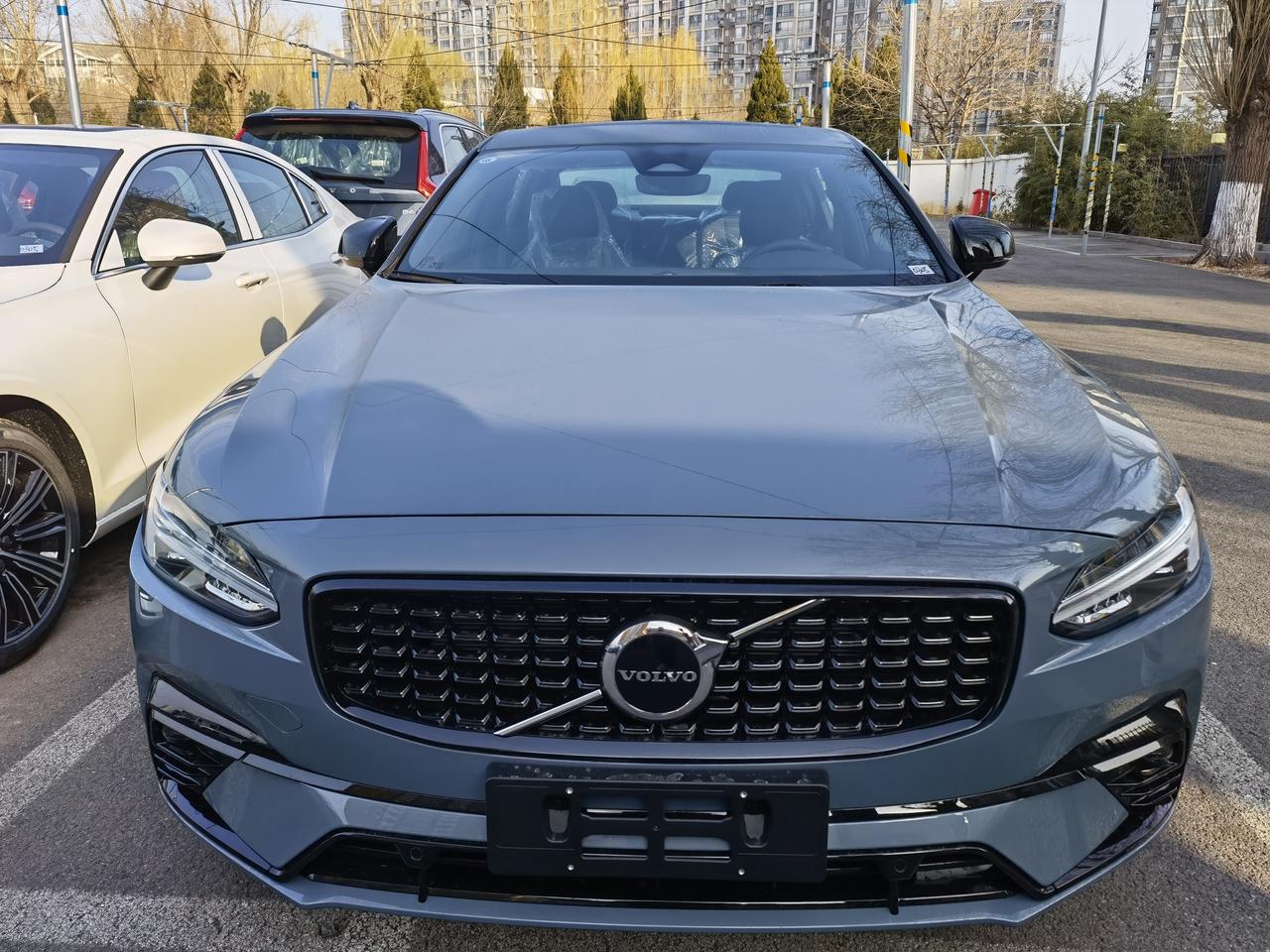 s90车主·车龄3年东邪也西毒沃尔沃s90车主·车龄2年这叫什么颜色?