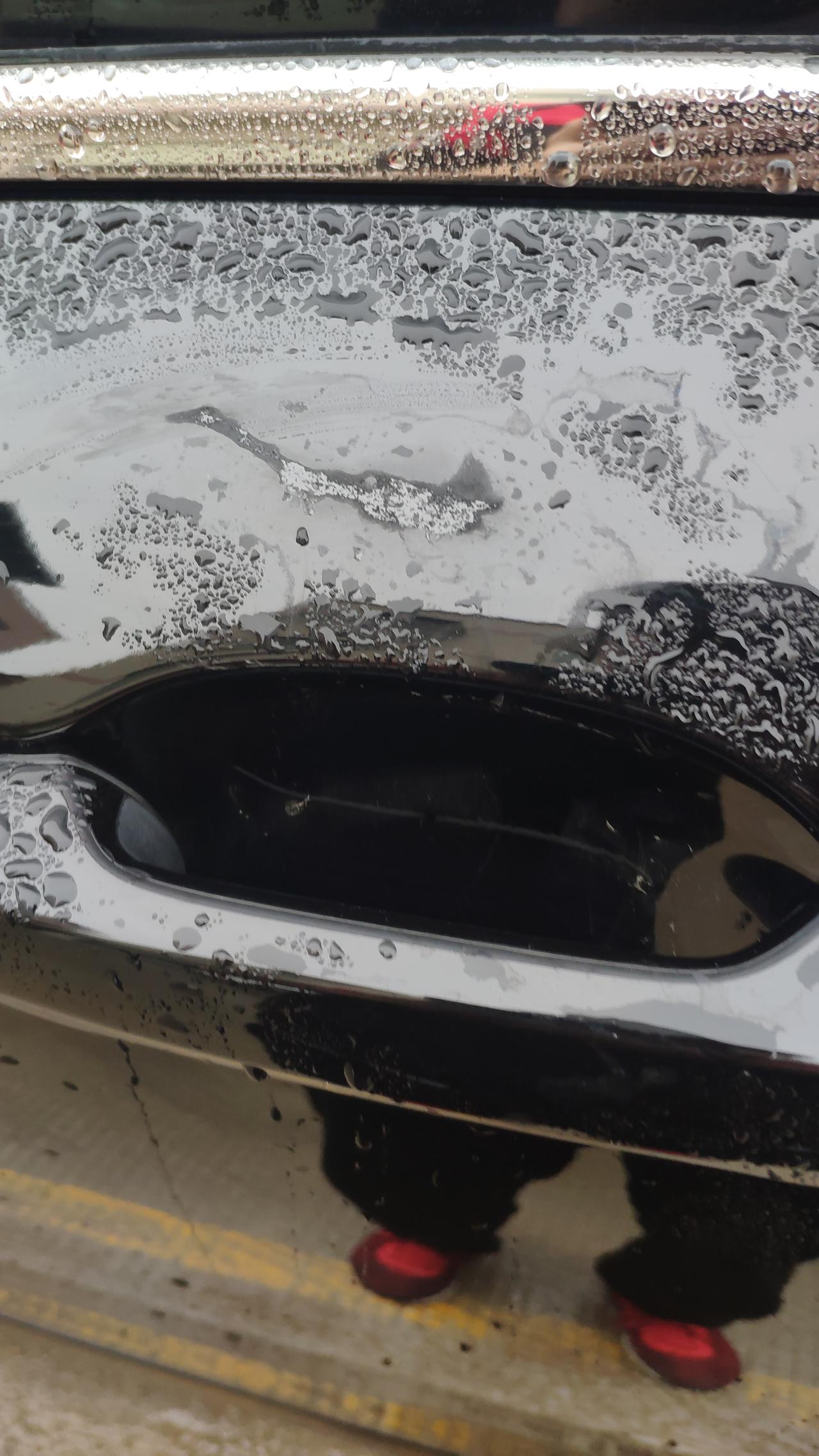 一坨鸟屎成这样有点恶心本田车汽都掉了无语