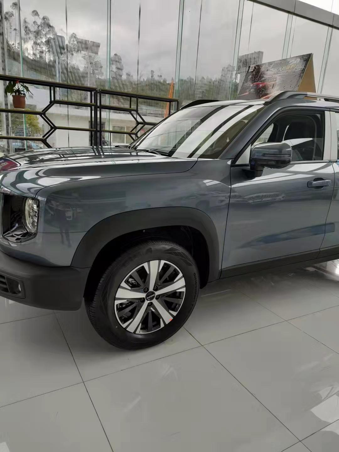 哈弗大狗帅到没朋友