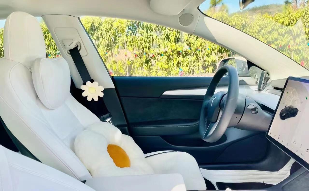 特斯拉的白内饰_model 3车友圈_特斯拉古美前_懂车帝