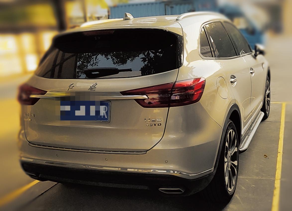 会变色的铂光金_红旗hs5车友圈_跃林风_懂车帝