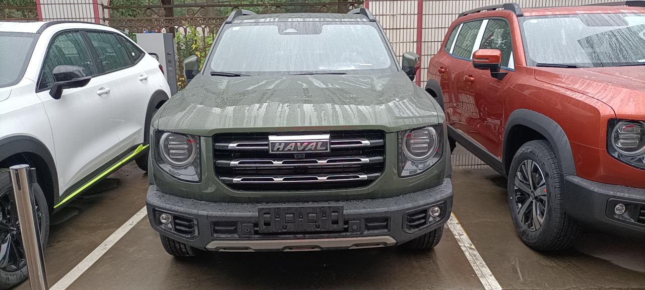 20天,绿狗到店_哈弗大狗车友圈_呼目呼目纽扣纽扣_懂车帝