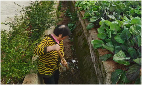 全面推行河长制，用行动筑牢生态之基