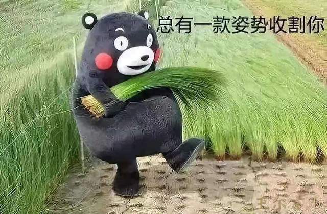 玊尔言币：怎样做一个合格的韭菜？6.25比特币行情分析2