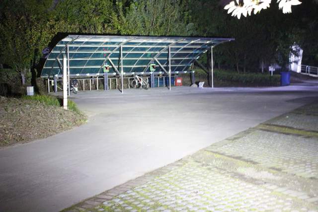 夜钓工具也会淘汰？高手却已悄悄换上高科技头灯