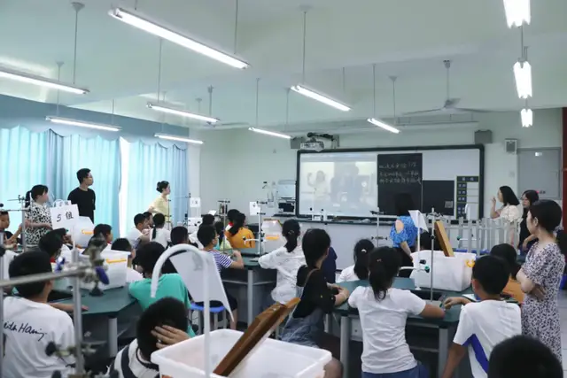 成都市双流区实验小学东区——动手操作体验 感受探究乐趣