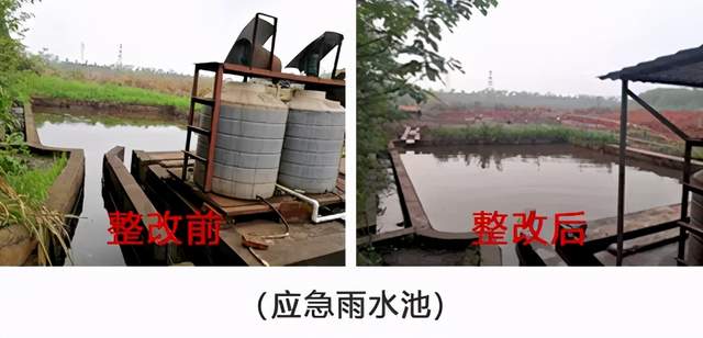 胡卫兵督导港口码头环境问题整改情况