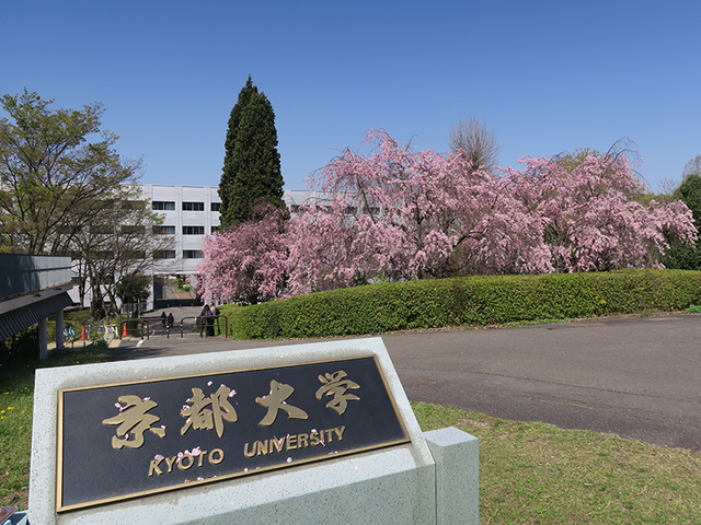 日企hr眼中的大学形象排名!北海道大学荣获!-天空树官网