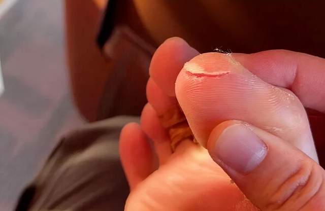 晚报|实锤蔡英文博士论文没写完 胡安明被宣判无罪