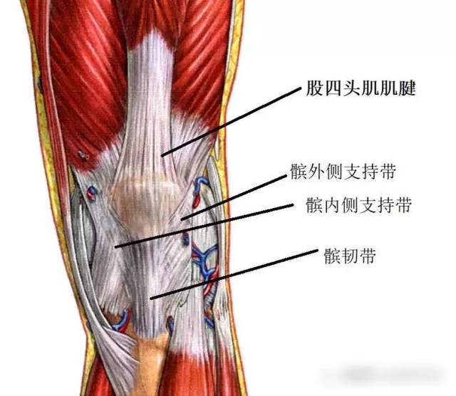 在髌骨周围的组织有股四头肌腱,髌内侧支持带,髌外侧外支持带,髌韧带