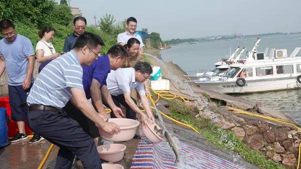 湘潭县农业农村局：400余万尾鱼苗投放湘江