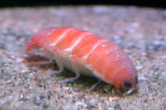 晚报|傅政华落马、十堰26死爆炸事故调查报告公布