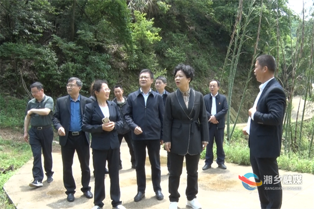 张迎春到湘乡调研乡村振兴工作
