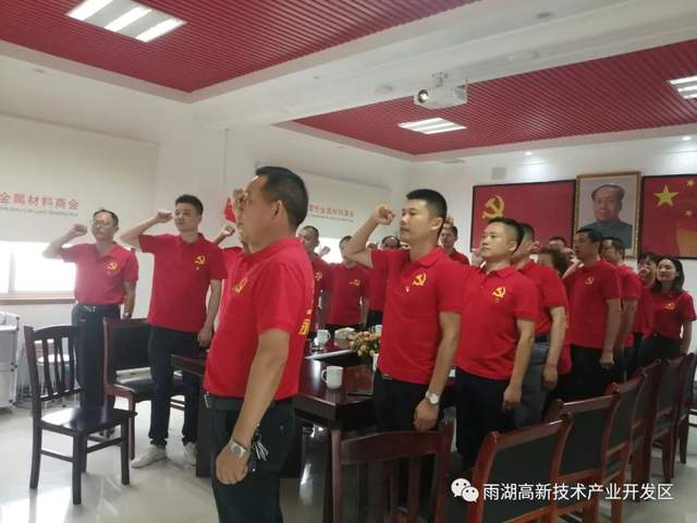 雨湖高新区收听收看庆祝中国共产党成立100周年大会