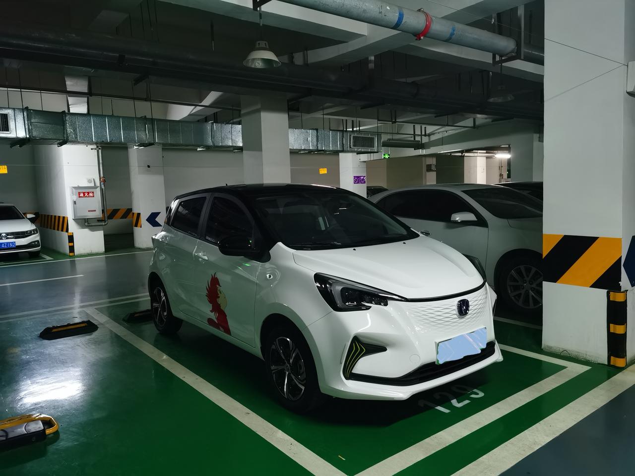 e-star改装-车顶改色_奔奔e-star车友圈_懂车帝