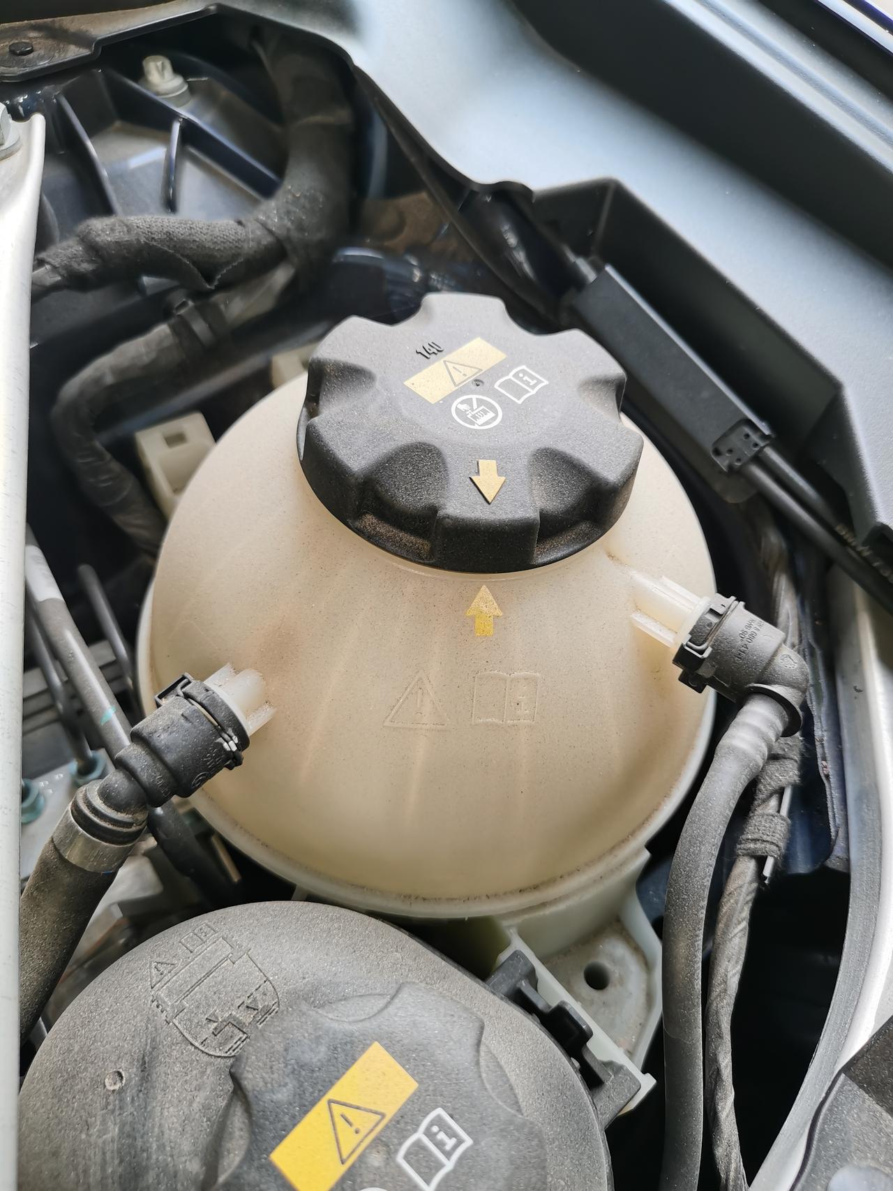 这个地方是装防冻液的吗?正常水位要到什么位置?我印象中好像见