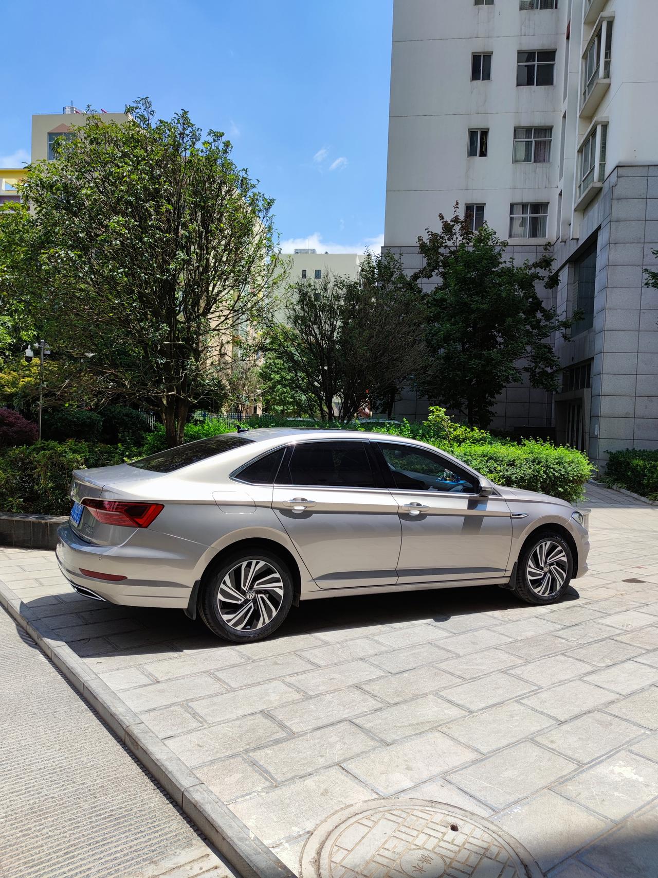 阳光下的海贝金分外漂亮