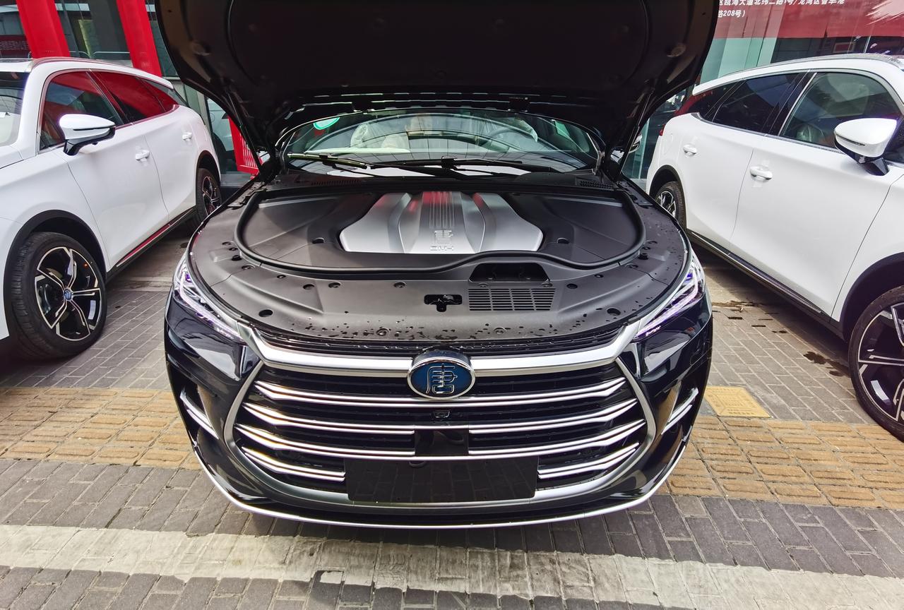 唐dmi尊荣版提车_唐dm车友圈_黑色大唐dmi_懂车帝