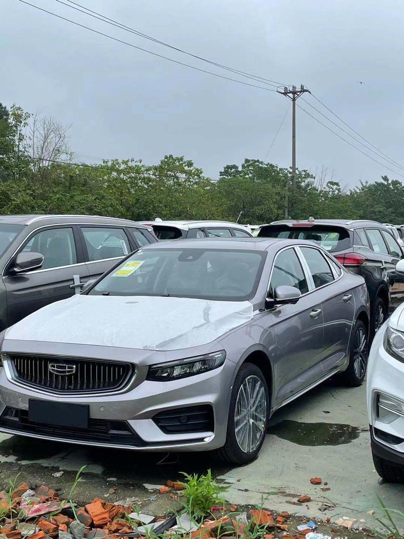 星瑞尊贵颜色好看呀